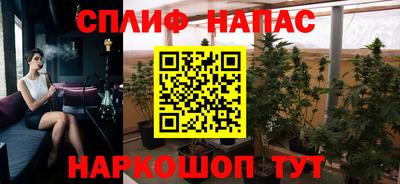 дживик Гатчина