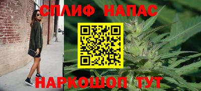 дживик Гатчина