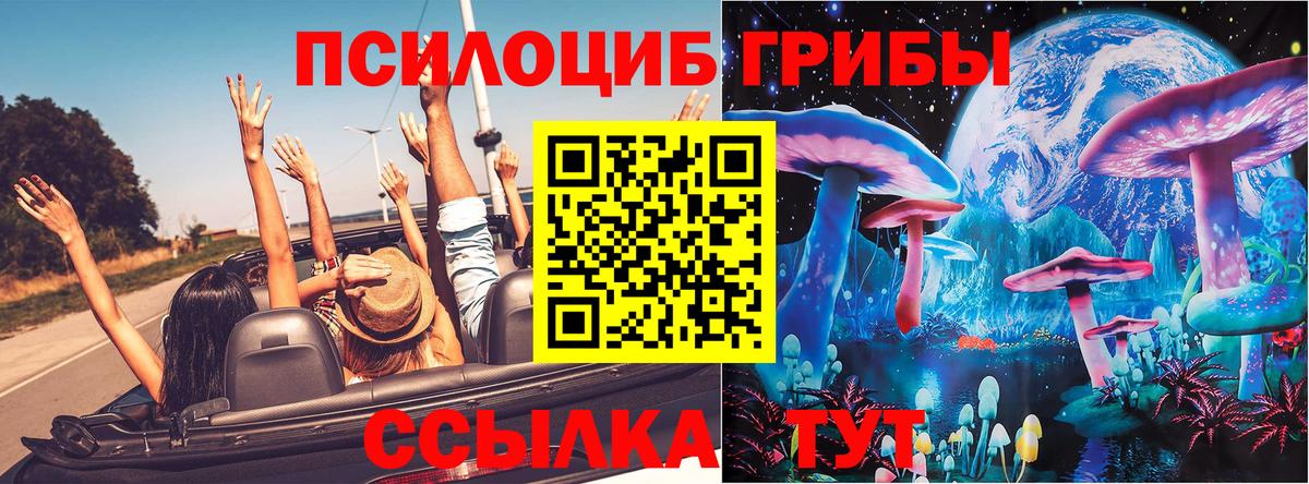 Псилоцибиновые грибы прущие грибы Миасс
