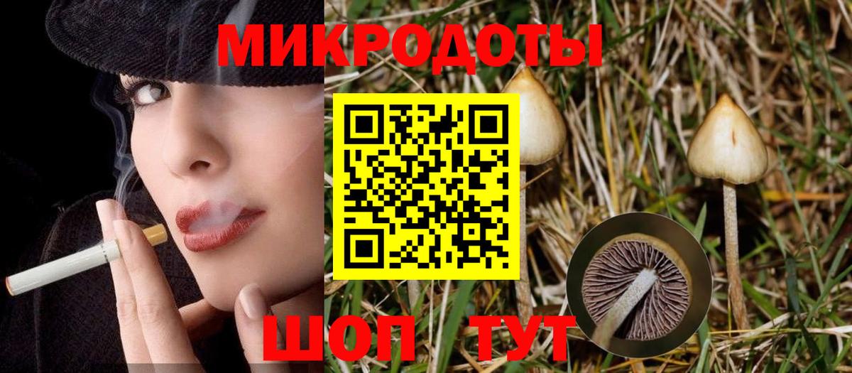 Миасс  Псилоцибиновые грибы MAGIC MUSHROOMS  Вход с VPN  Галлюциногенные грибы GOLDEN TEACHER 